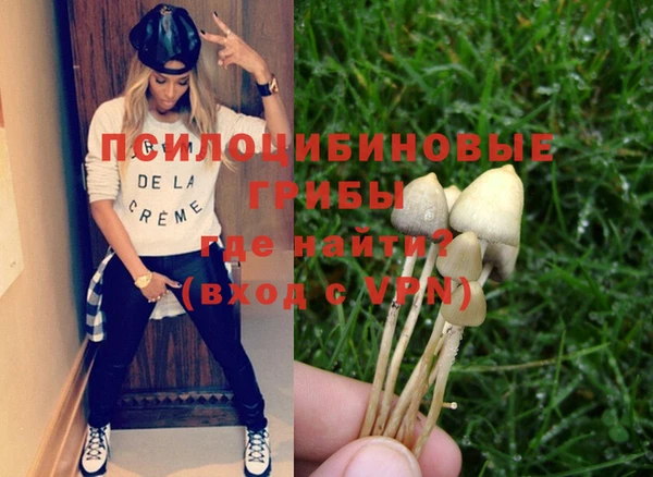 хмурый Балабаново
