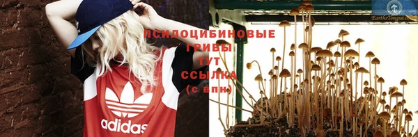 альфа пвп Баксан