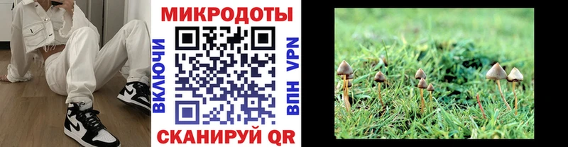 Галлюциногенные грибы мухоморы  Купить где  Белёв 